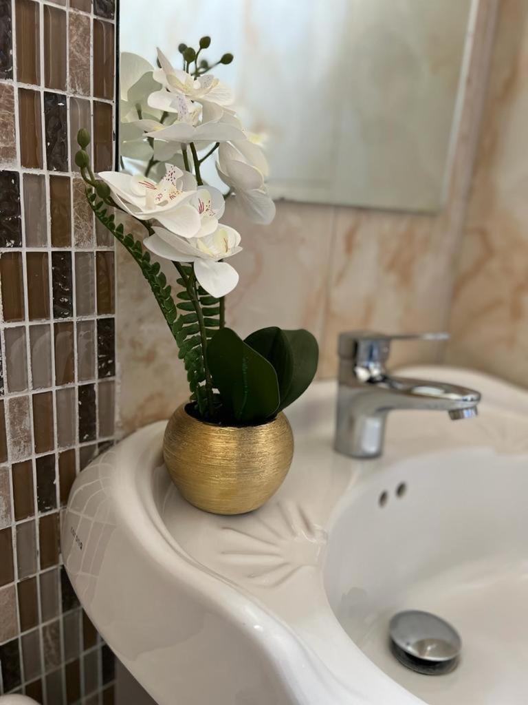 Metcalfe Luxury One Bedroom Suite Kingston Eksteriør bilde