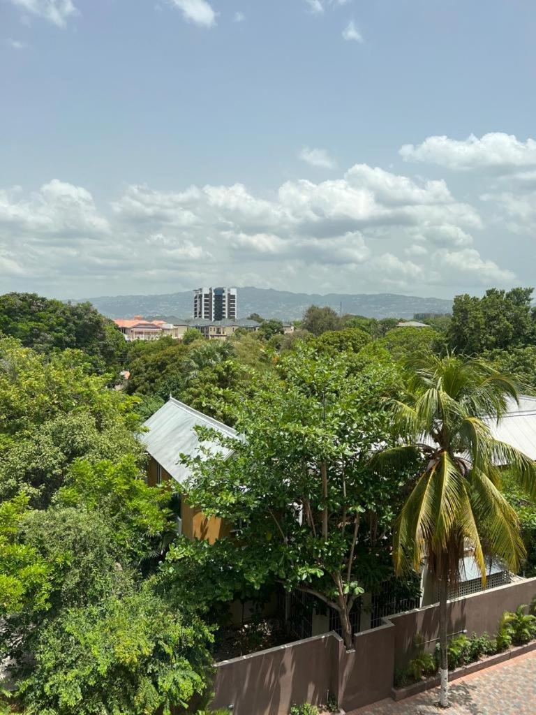 Metcalfe Luxury One Bedroom Suite Kingston Eksteriør bilde