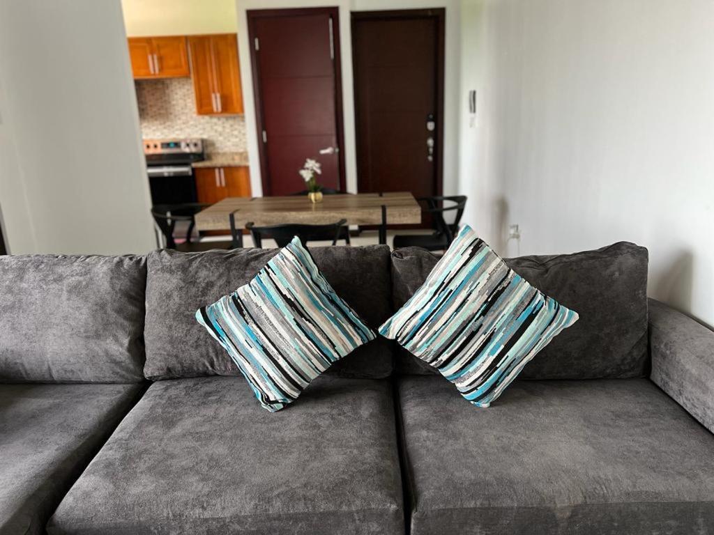 Metcalfe Luxury One Bedroom Suite Kingston Eksteriør bilde